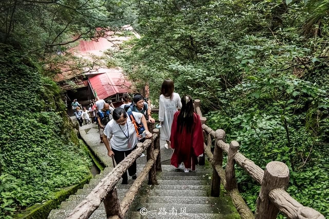 夏天避暑最佳旅游地庐山,江西庐山4天3夜旅游攻略