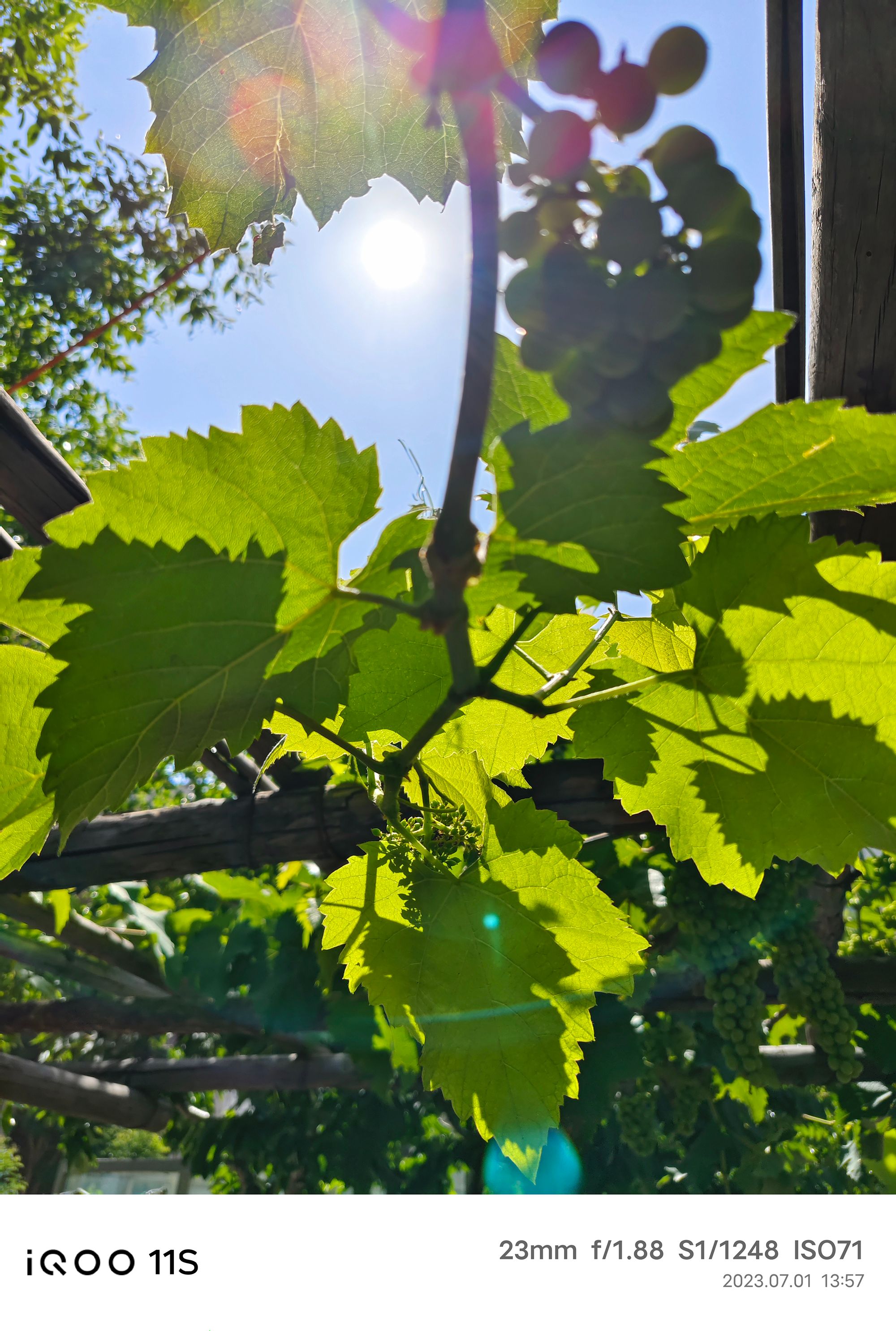 iQOO11S掀翻行业小饭桌，友谊小船真翻了：Super标准杯电竞旗舰