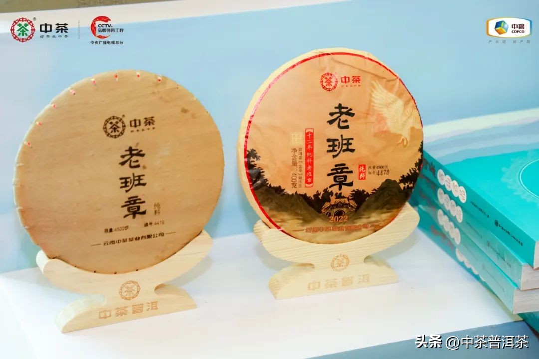 中茶普洱茶经销商信息大会,中茶2024年经销商大会