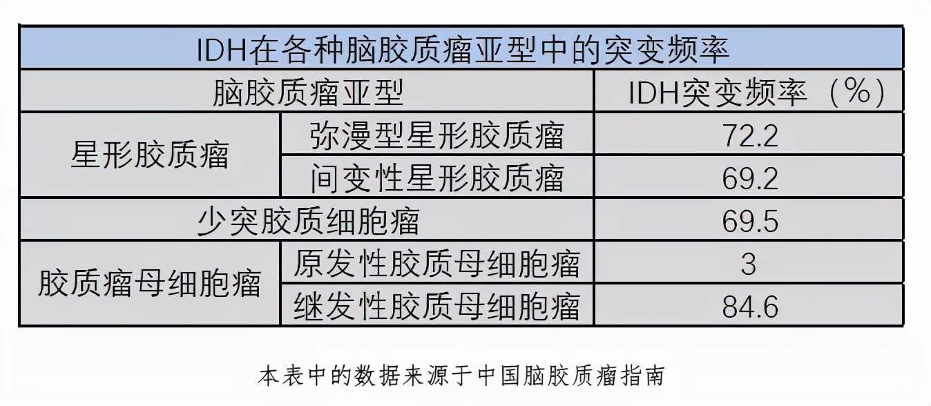 idh突变的星形胶质瘤预后,胶质瘤idh1突变和idh2不突变