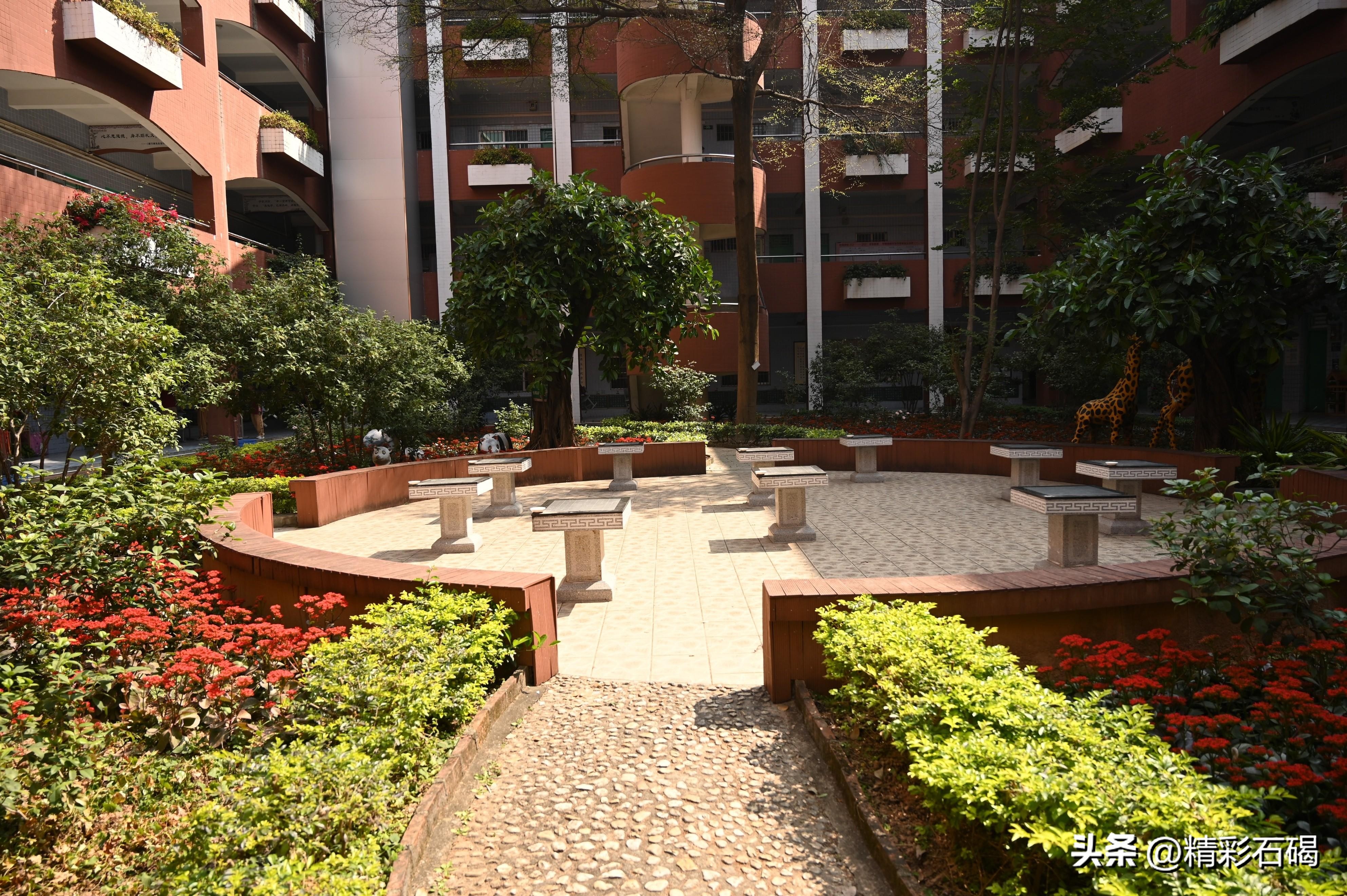 石碣四海学校的视频,石碣四海校园