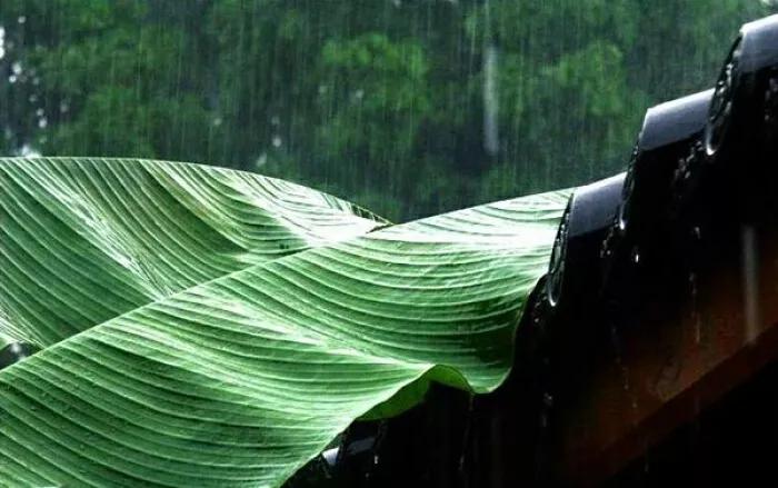 「新梦文学」同题专刊：东边日出西边雨】