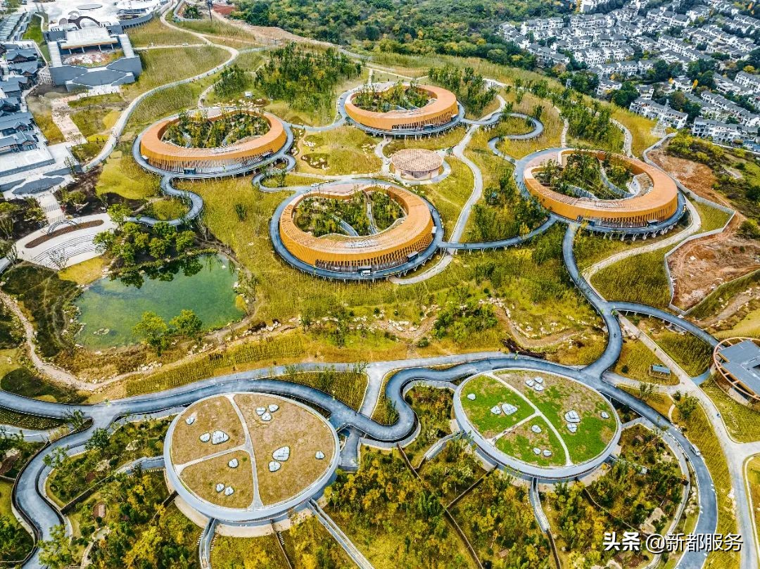 新都是靠什么产业发达的,新都做什么好