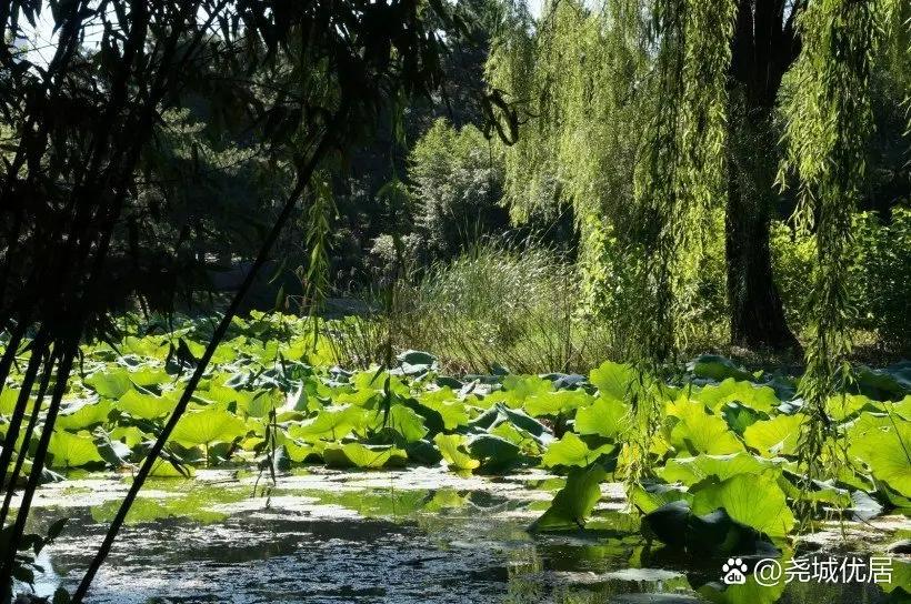 公司岗位价值评估工作讲话,美世岗位价值评估2.0案例运用视频