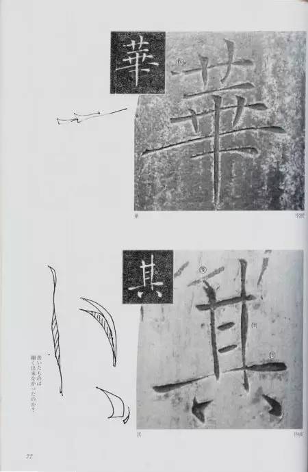 宸ョ瑪鐢绘潹鏅箟鐢诲唽,鏉滈箖鏉ㄦ櫘涔夊畬鏁寸増