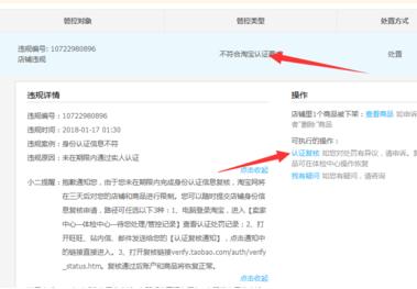 弘辽科技网店怎么经营,淘宝复核店是什么意思