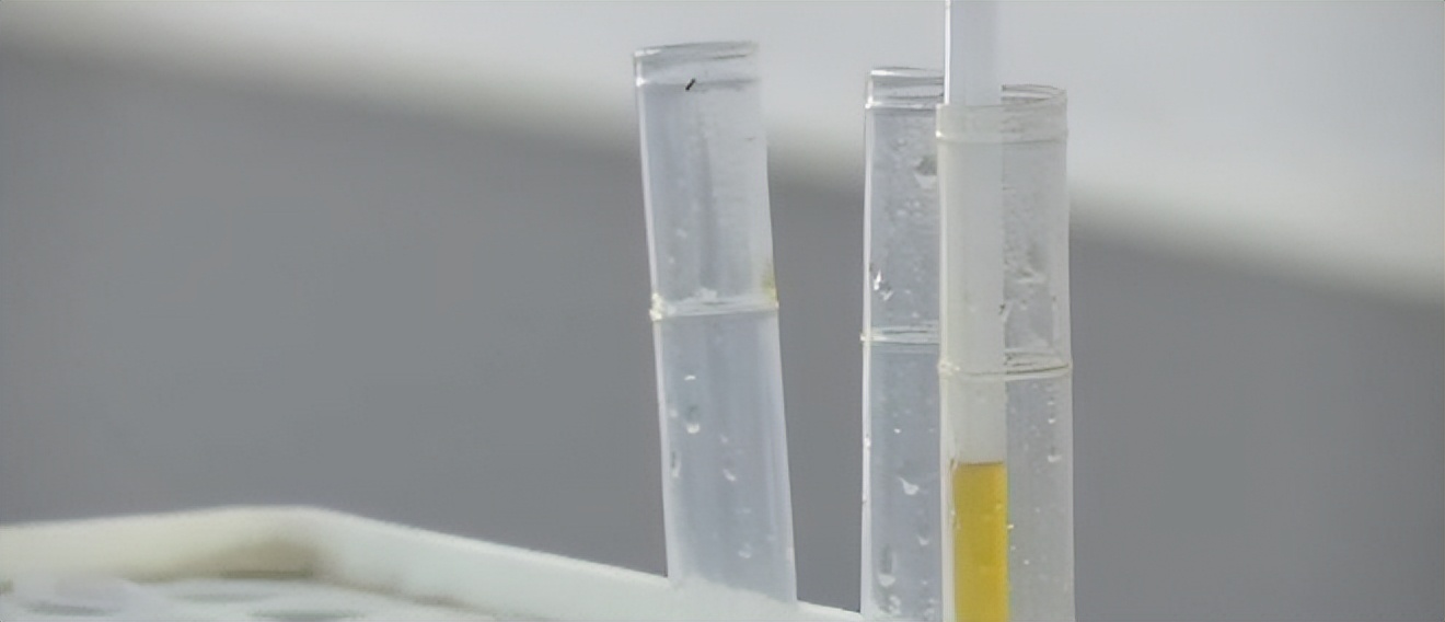 2018年湖北废弃养鸡场泥土变白,湖北养鸡场附近土呈白色