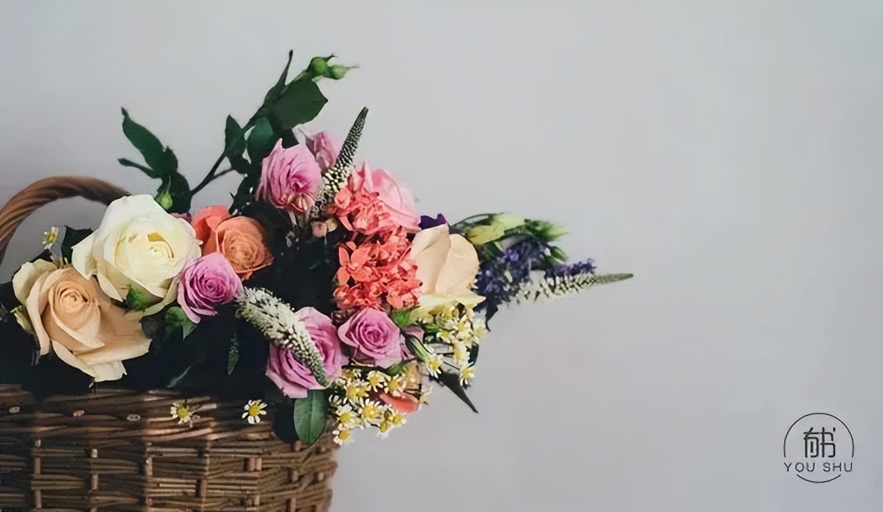 月亮与六便士的经典语录及感悟,《月亮与六便士》十句经典语录