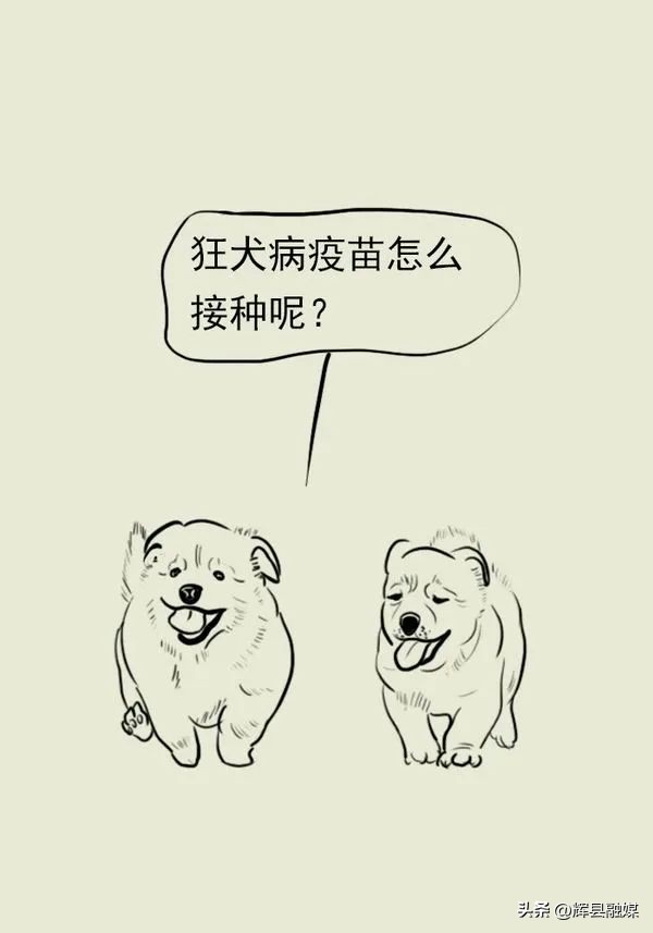 在户外如何预防被动物咬伤,假期意外伤害防治