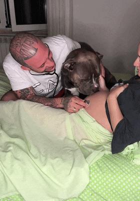 狗狗听主人胎动很惊讶,狗狗听胎动惊讶