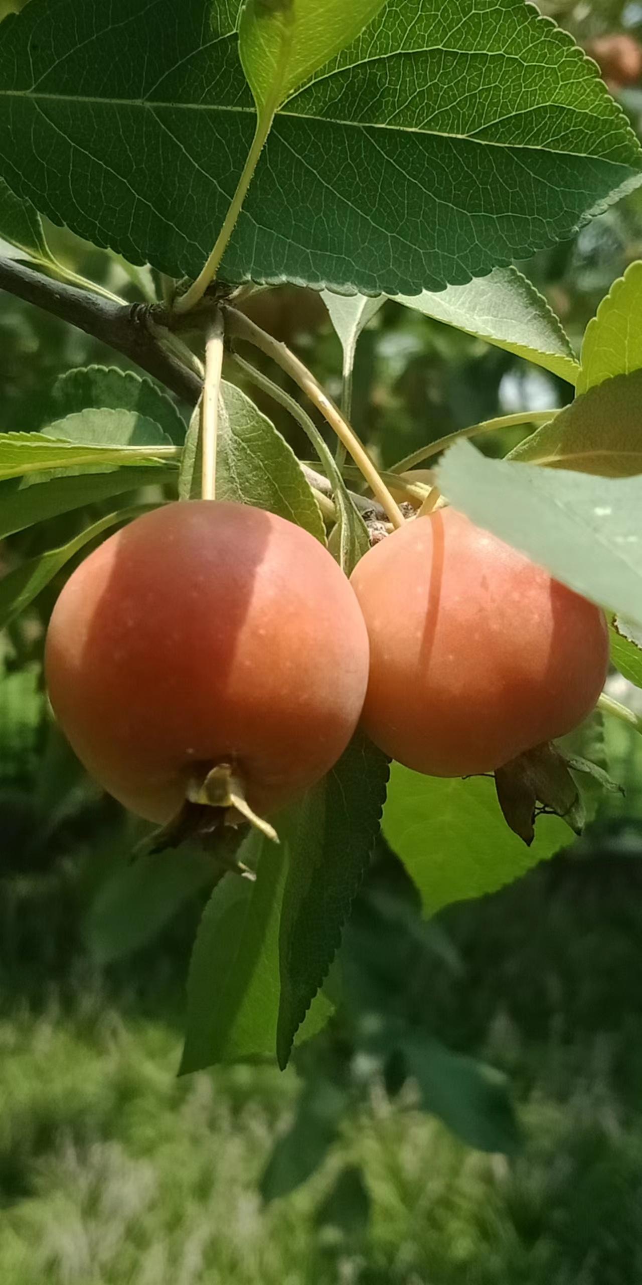 不要长时间与别人微信视频通话，有可能会耽误人家的事