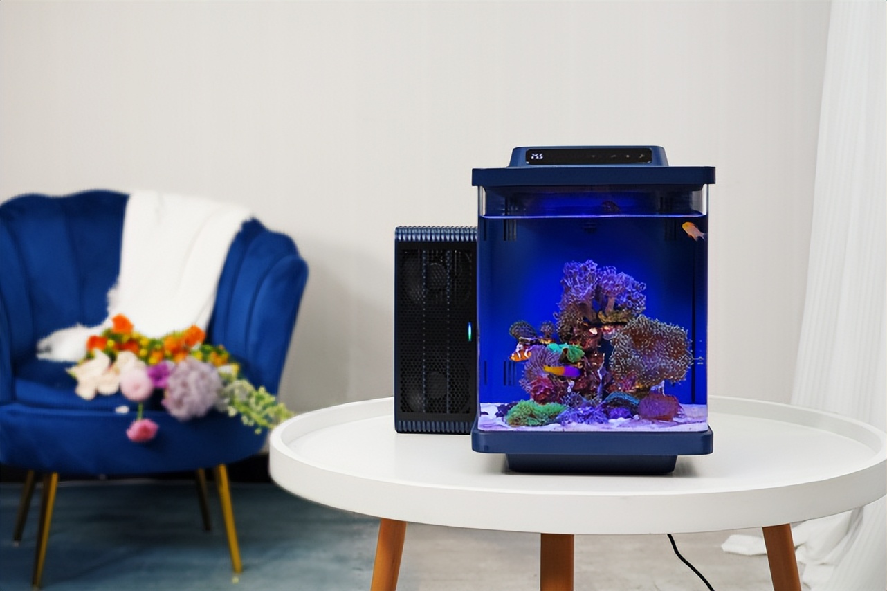 独角兽早报王慧文,独角兽早报