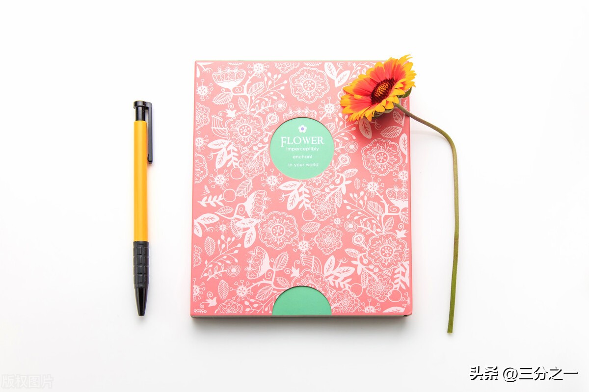 假期撰写一份数学日记 (以寒假作业为素材写四篇数学日记)