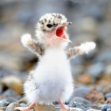 在沈阳住了十五年的感受,在沈阳生活一辈子