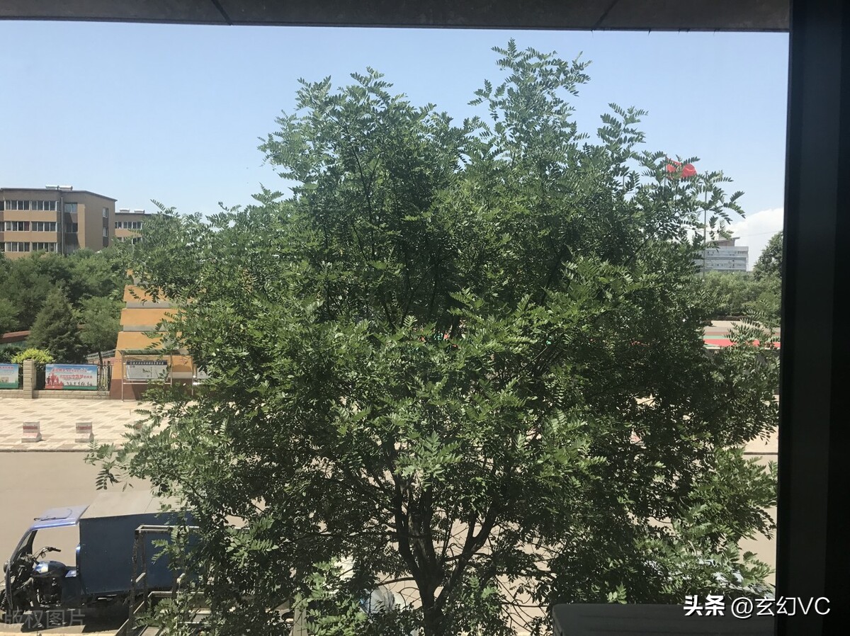 当家教的日子—筹备宿舍联谊，劝解游戏男孩（4）