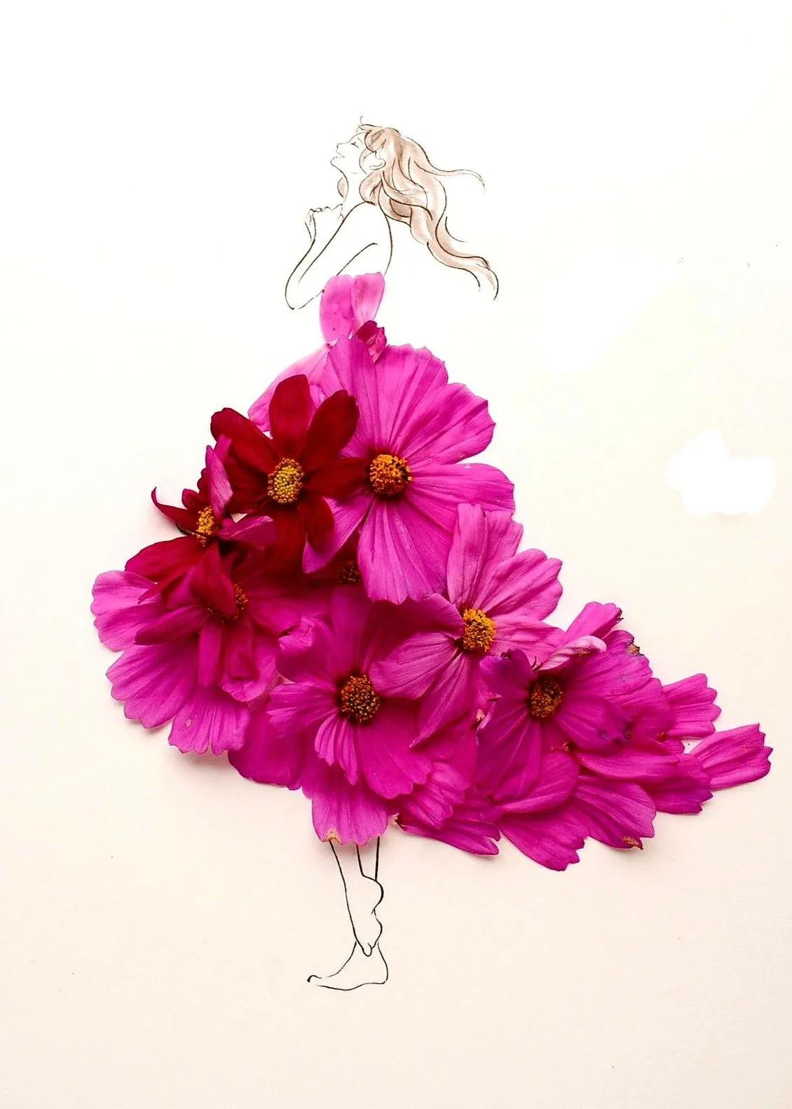 花仙子植物开花,花仙子开满鲜花