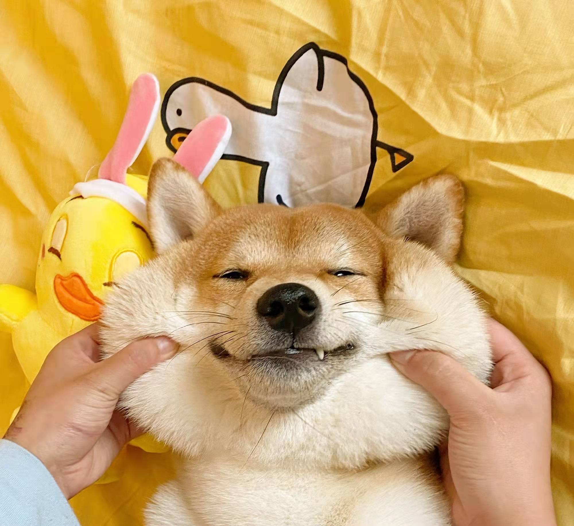 夸帅哥的文案沙雕,戏精脱口秀文案