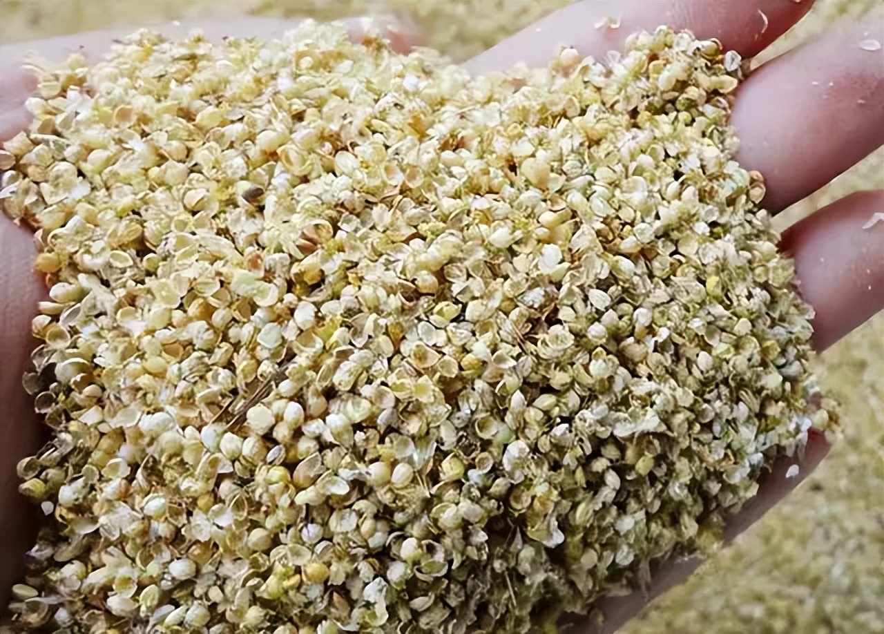 谷维素治疗高血脂吗,谷维素是治疗失眠高血脂的良药