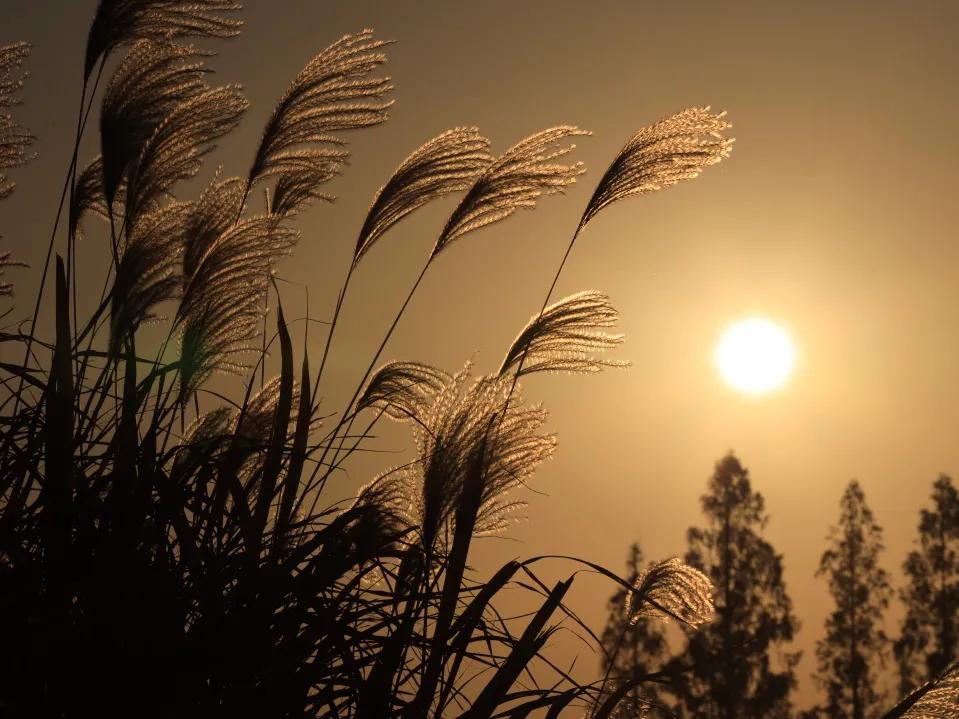 杭州西湖微信头像图片,杭州风景图片头像