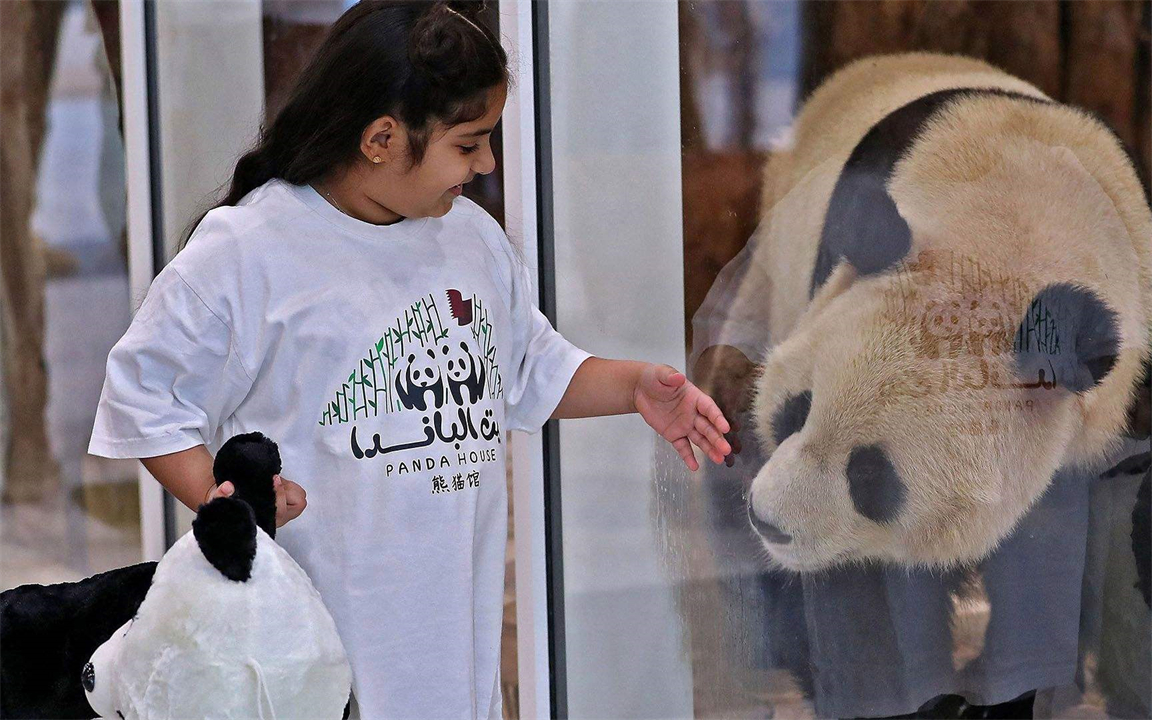 中国制造赢麻了?卡塔尔耗资2200亿办世界杯,举目皆是中国元素