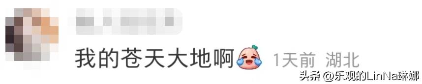 挂历椰树椰汁,徐冬冬椰树椰汁挂历