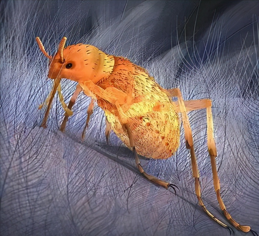 盘点十种能秒杀霸王龙的恐龙,十大比霸王龙厉害的恐龙