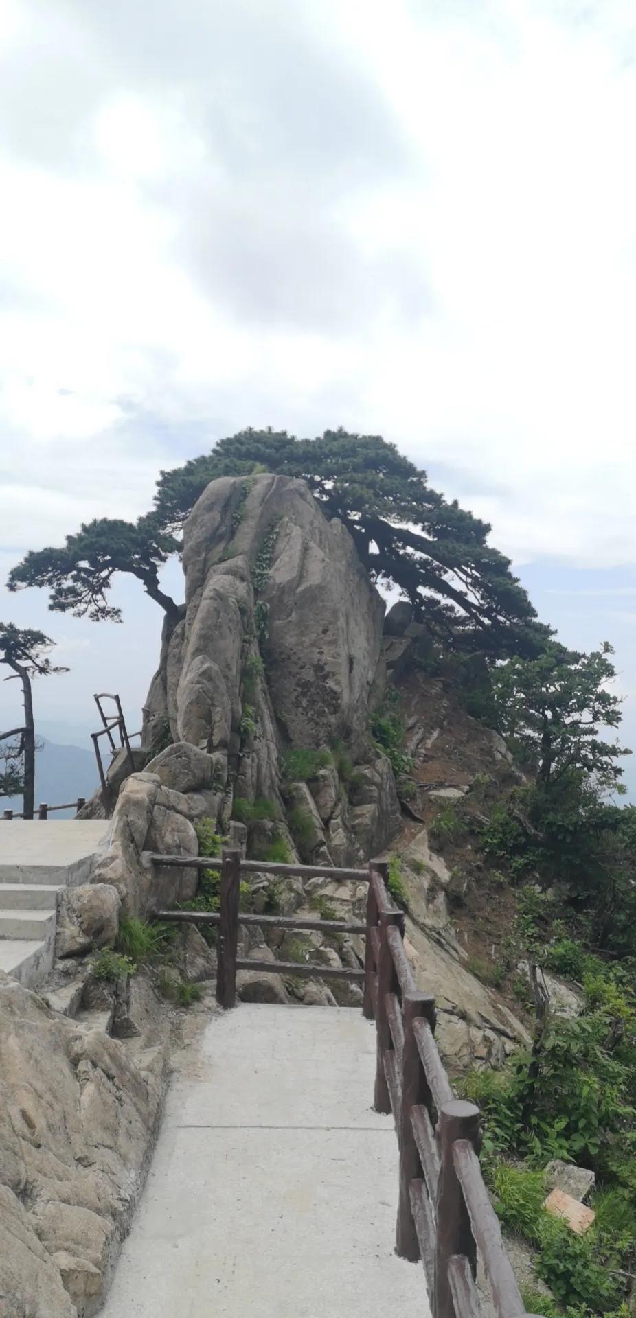 郭奎章创业要看清趋势,郭奎章谈自己的创业经历