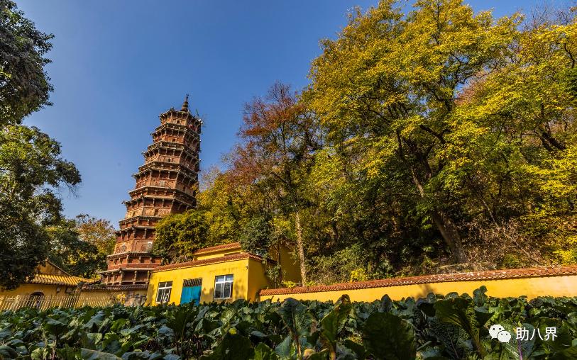 武汉必打卡的十大景点介绍,武汉南湖网红打卡景点