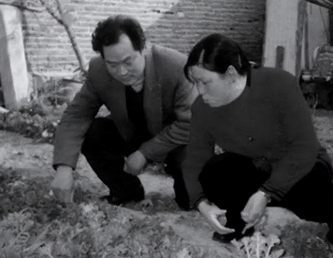 1994年山东女子挖到35克拉钻石,挖钻石真实案件