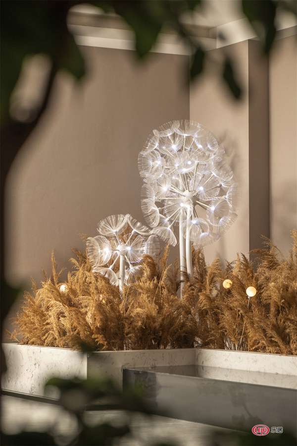 冯莎作品|泡泡森林水汇：寻梦环游之旅