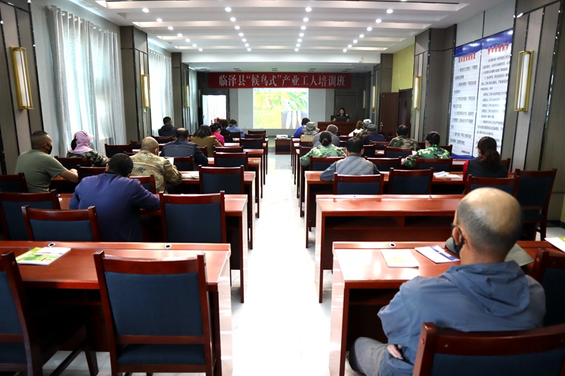 候鸟报道,候鸟务工