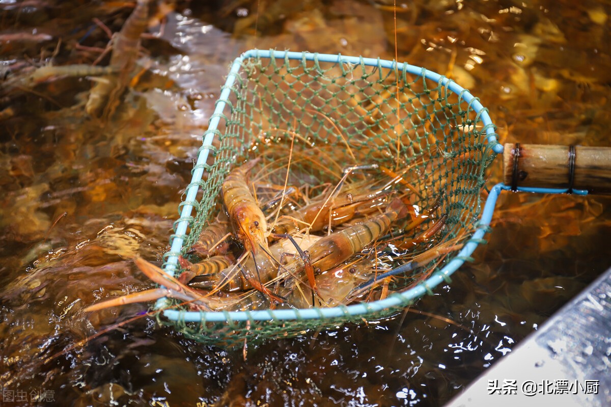 基围虾明虾对虾的区别,白对虾和基围虾的口味区别
