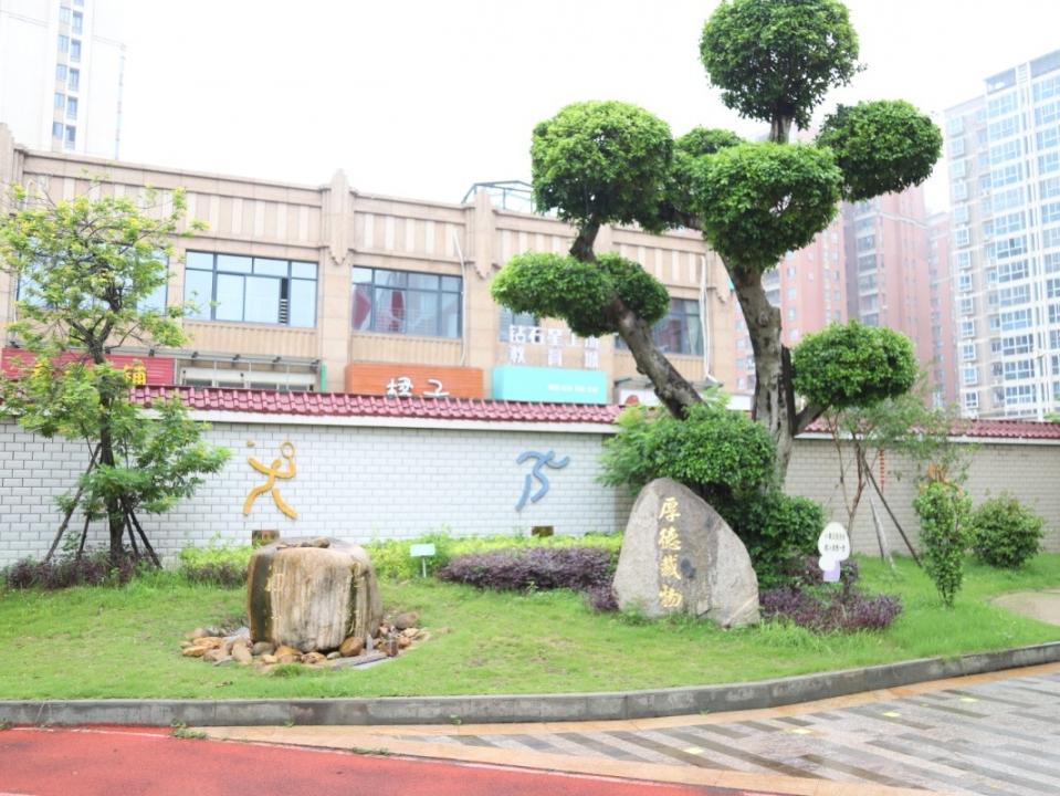 城南实验小学惠安好不好,城南实验小学惠安研学
