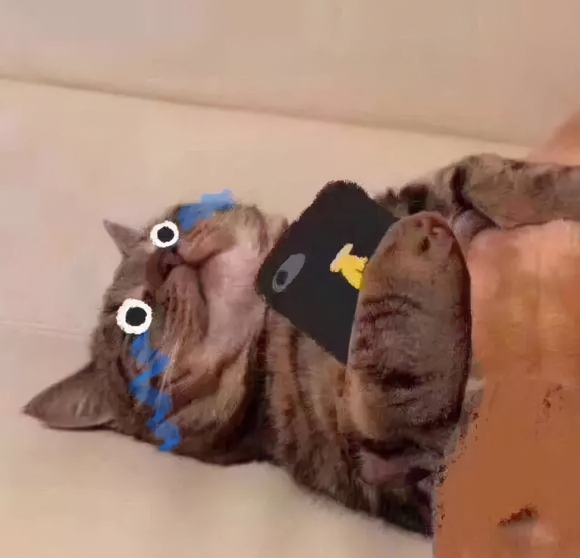 睡不着文案可爱沙雕朋友圈,长痘痘朋友圈文案可爱沙雕