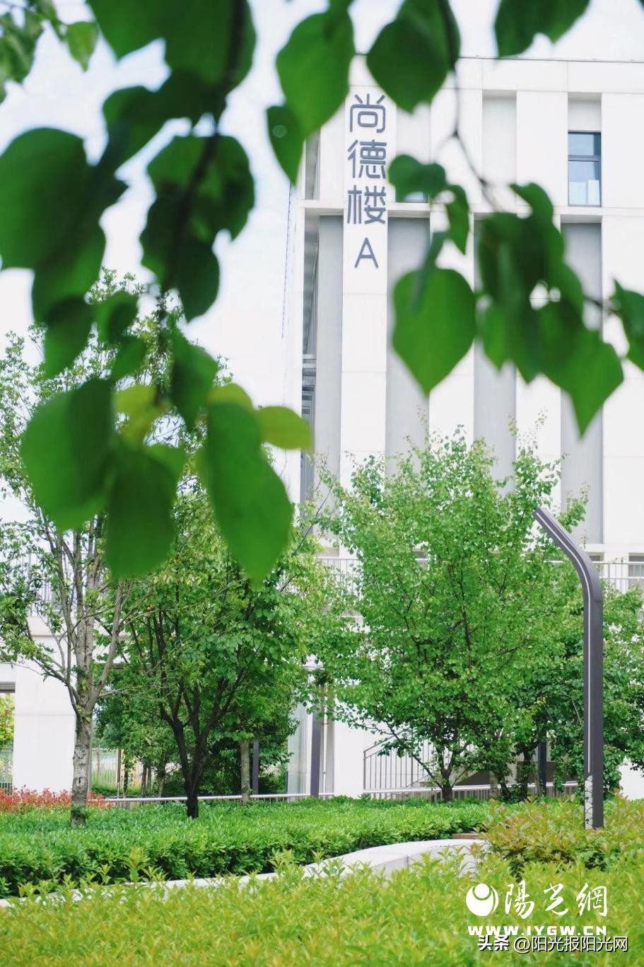 欣赏育人成就学子西安高新一中实验中学用心用情打造群众家门口的好学校