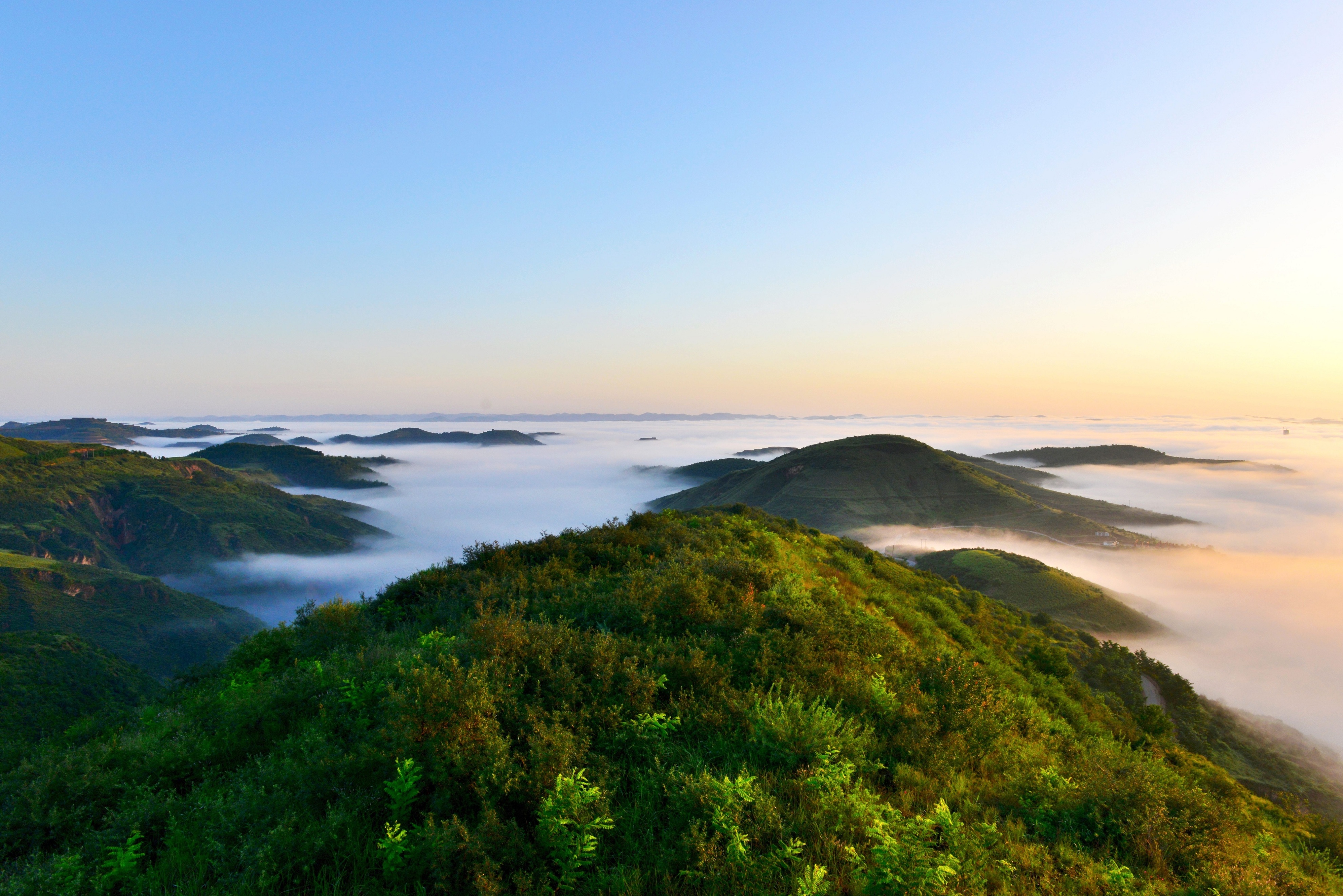 延安志丹最新规划,延安志丹视频