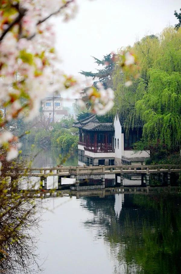 苏州大学最美校园,中国最美十大校园之一的苏州大学