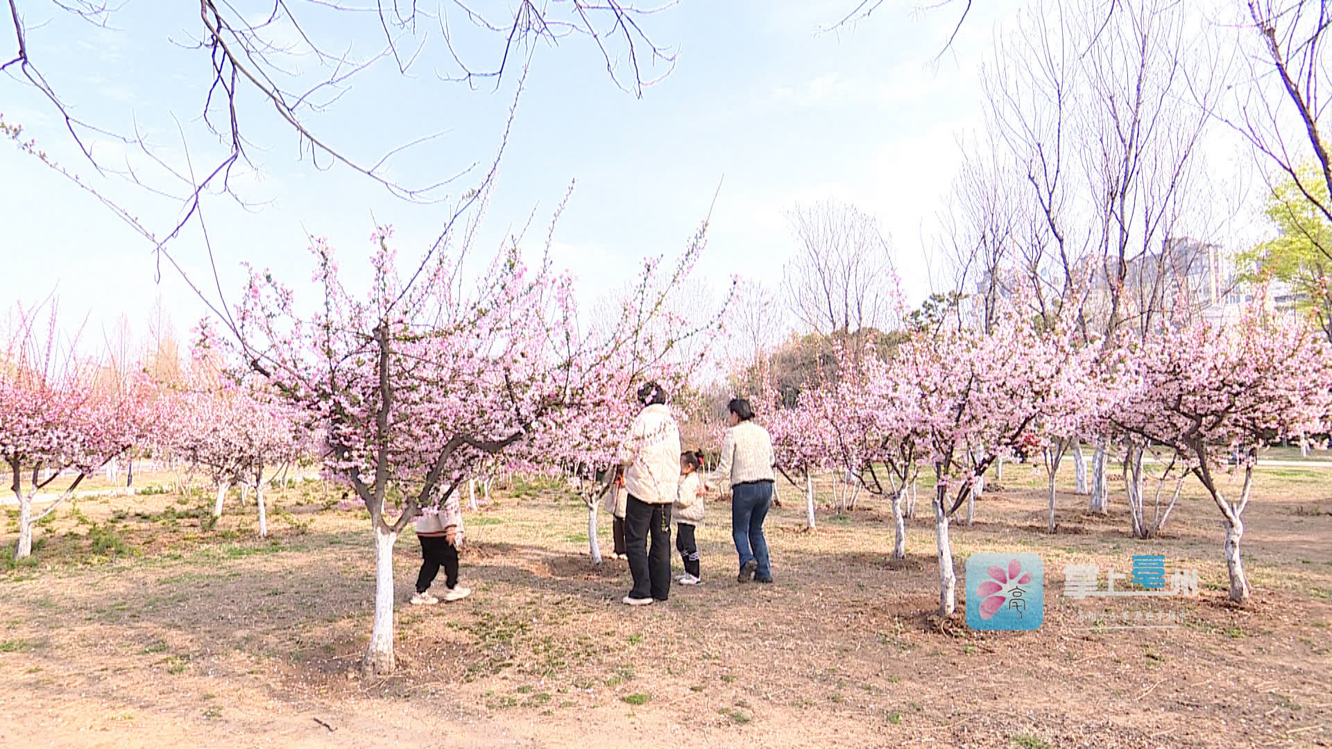 儿童过敏性鼻炎怎么治疗效果最好,空气净化器对过敏性鼻炎有帮助吗