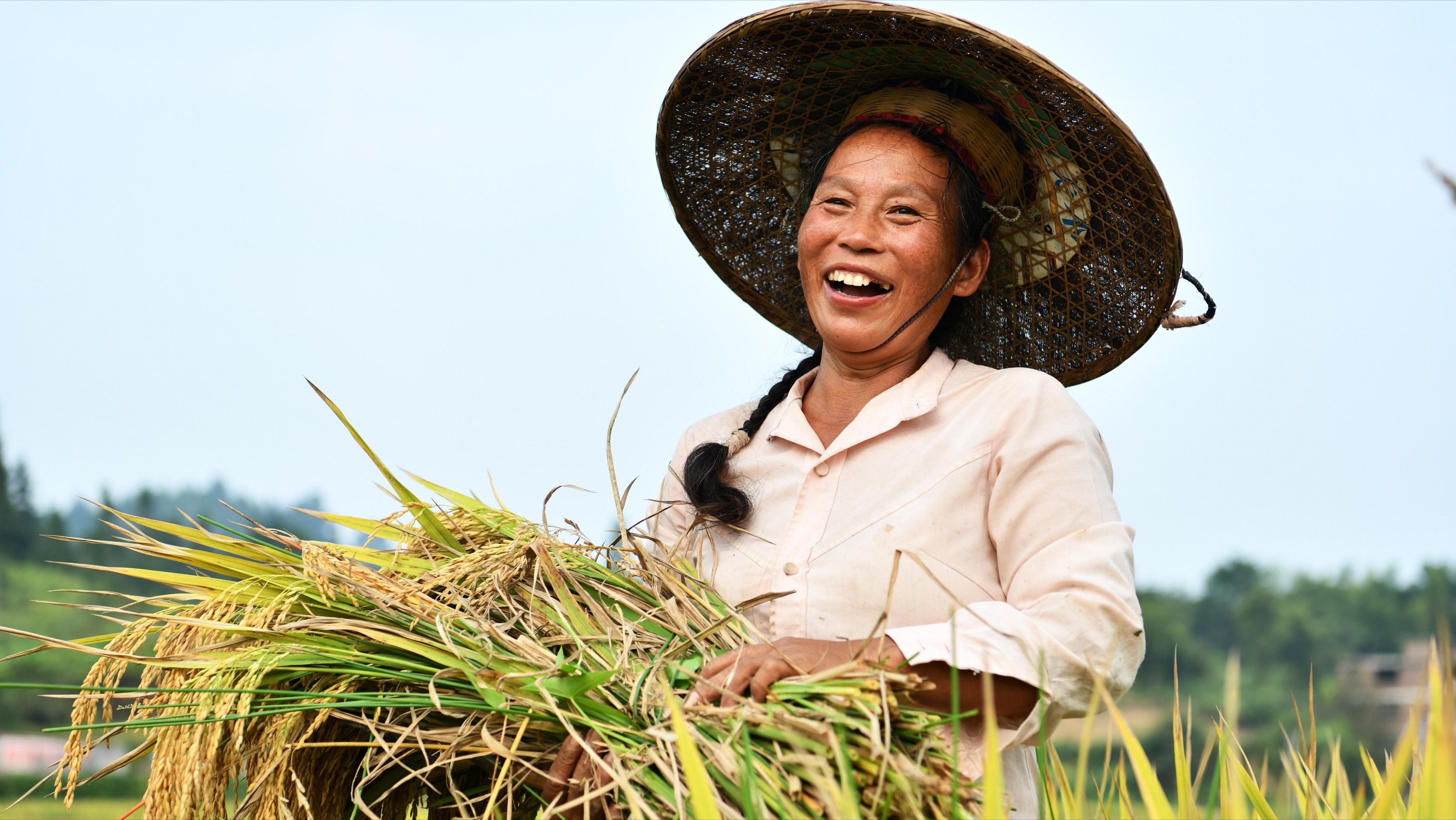 为什么农村的土地那么重要,农村土地为什么有根