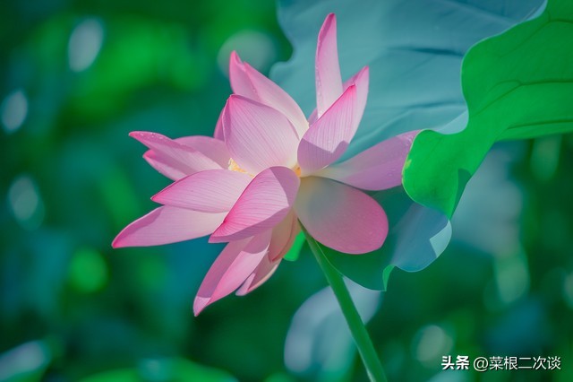 婆婆觉得我家钱是她儿子赚得，用的很心安，我妈却不舍的用我们的