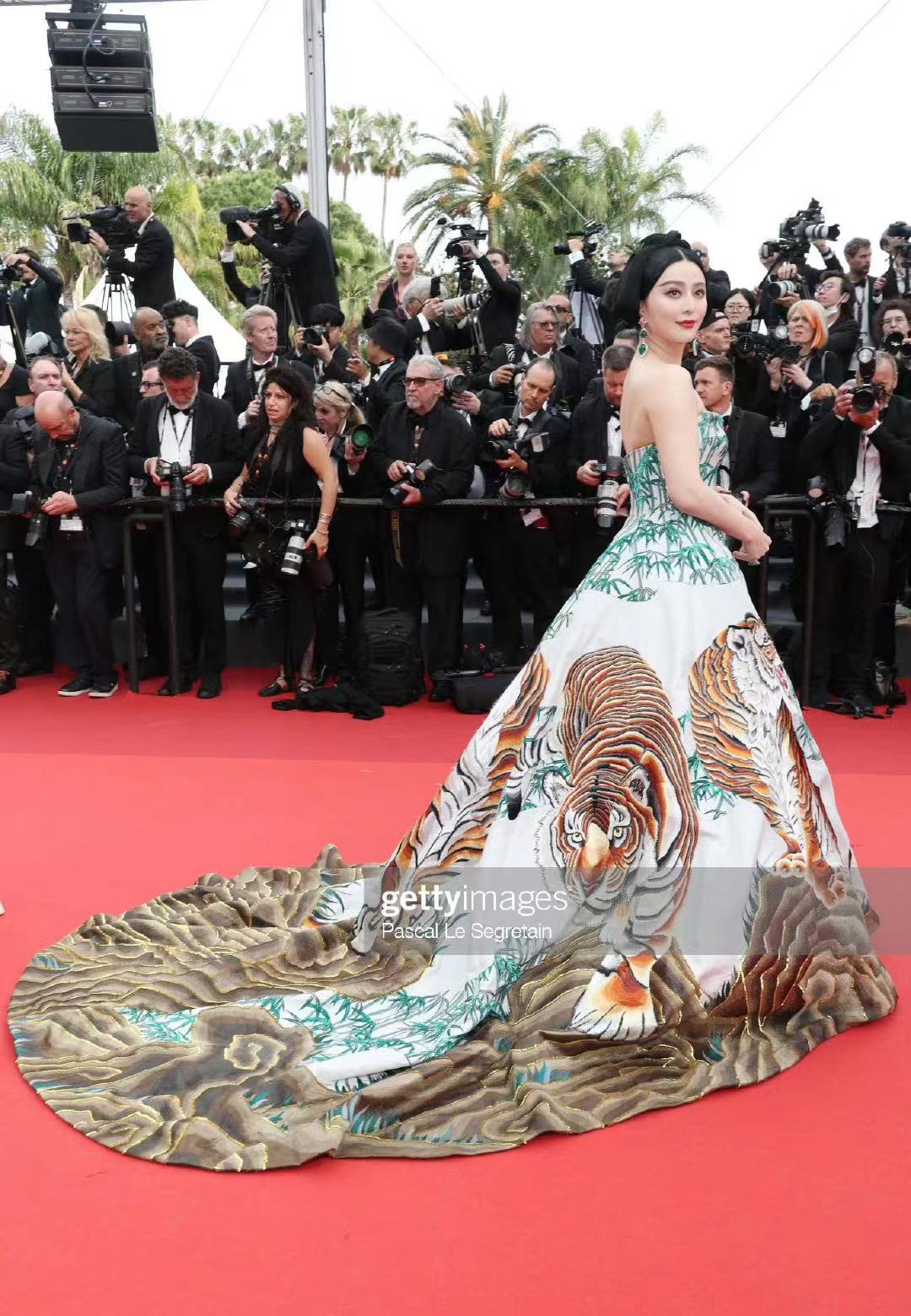 戛纳红毯明星模特,女星戛纳红毯抢镜