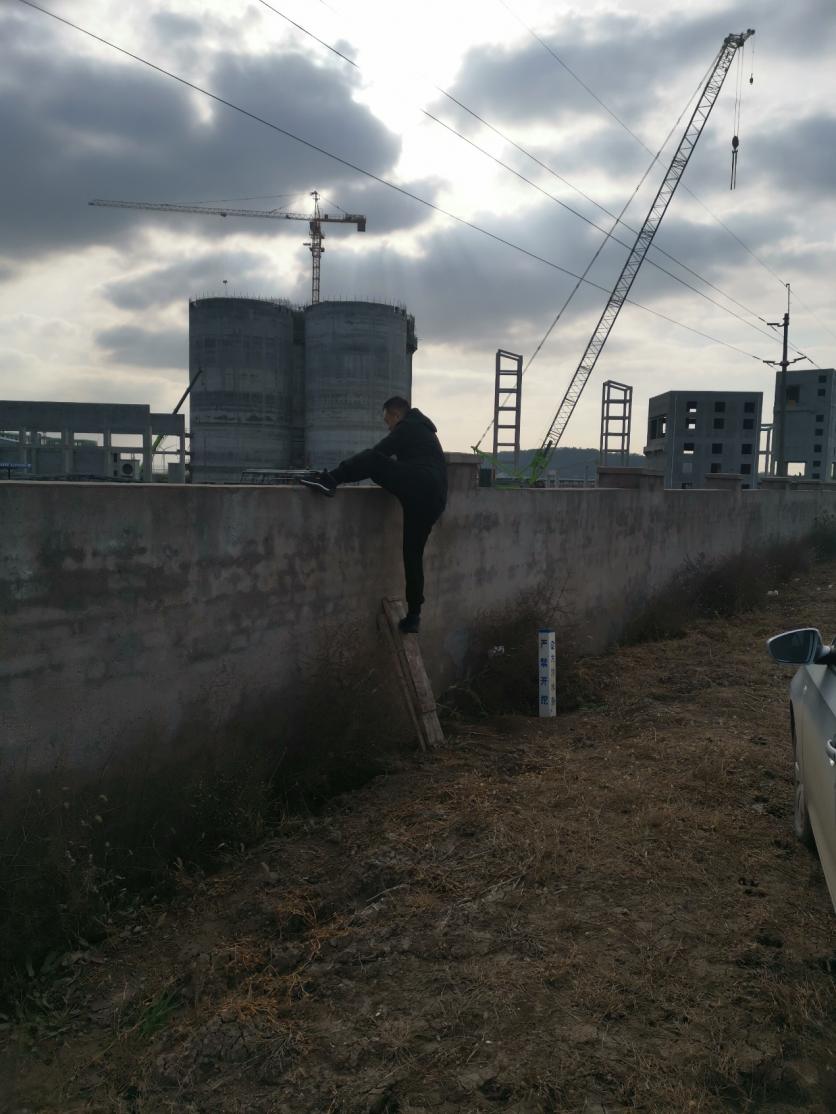 连云港舆情,连云港今日舆情