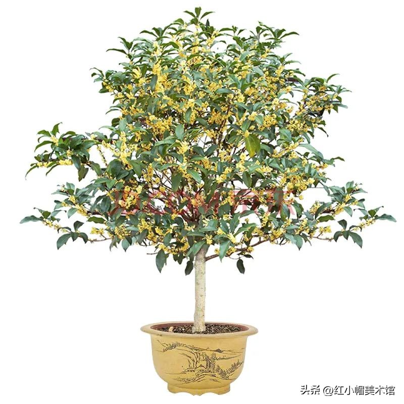 少儿创意美术中秋节萌萌的小白兔,大班中秋兔子画