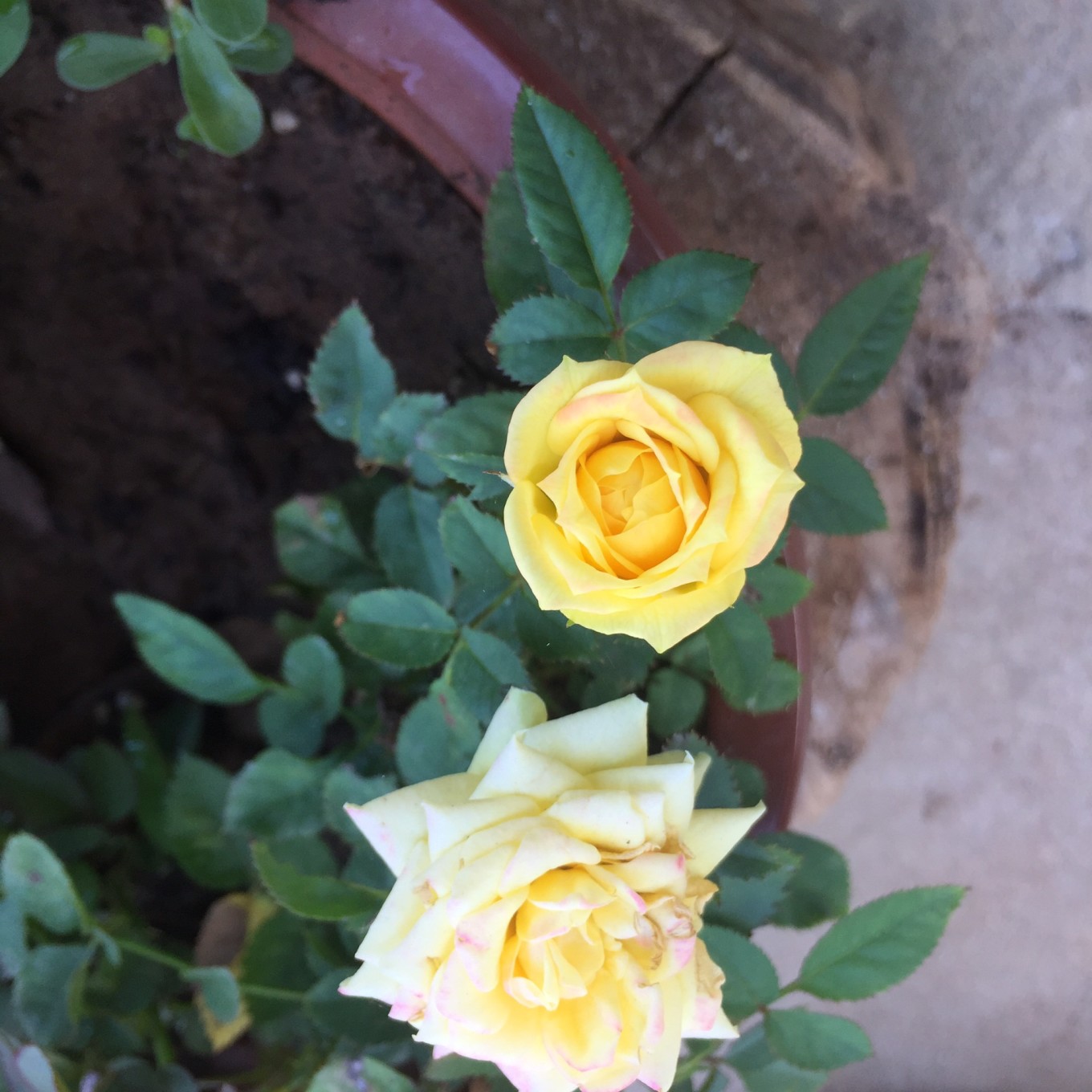 西安自驾北海6日游攻略,成都自驾北海6日游攻略