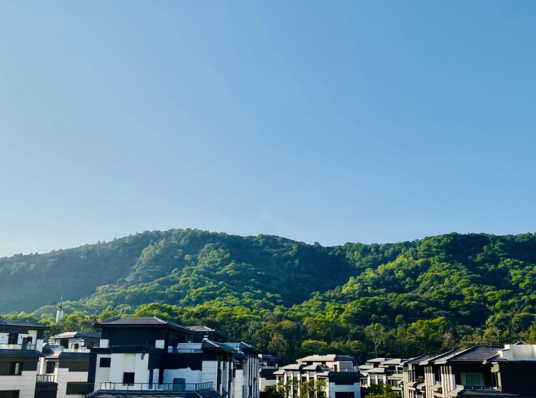 广州珠光云山壹号平层价格,珠光云山壹号多少钱一平