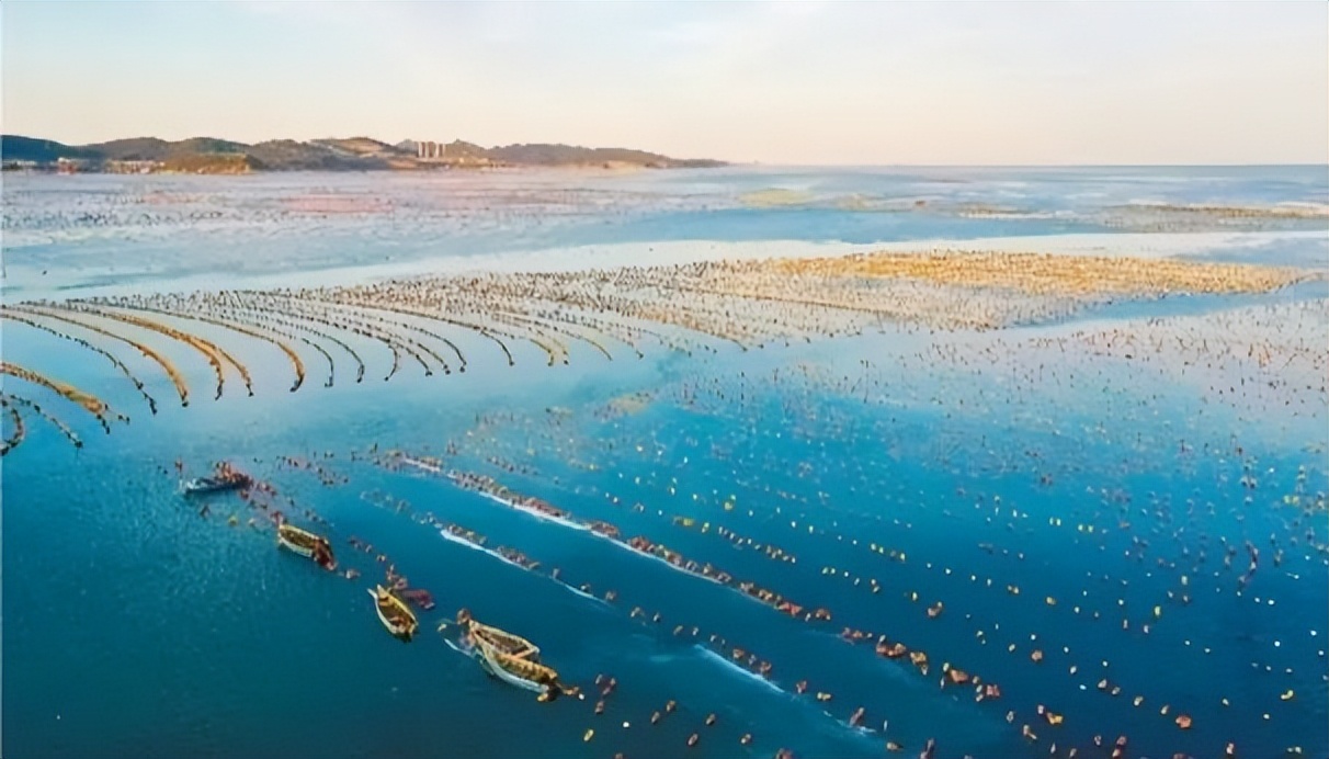 大连最美夏夜打开方式,大连最美时节