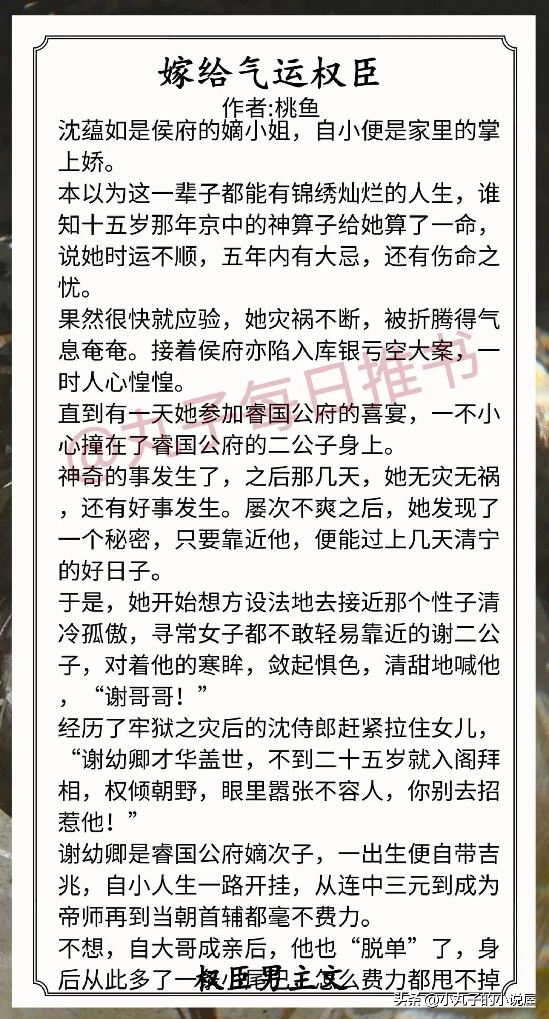 权臣男主文推荐,小说推荐权臣男主