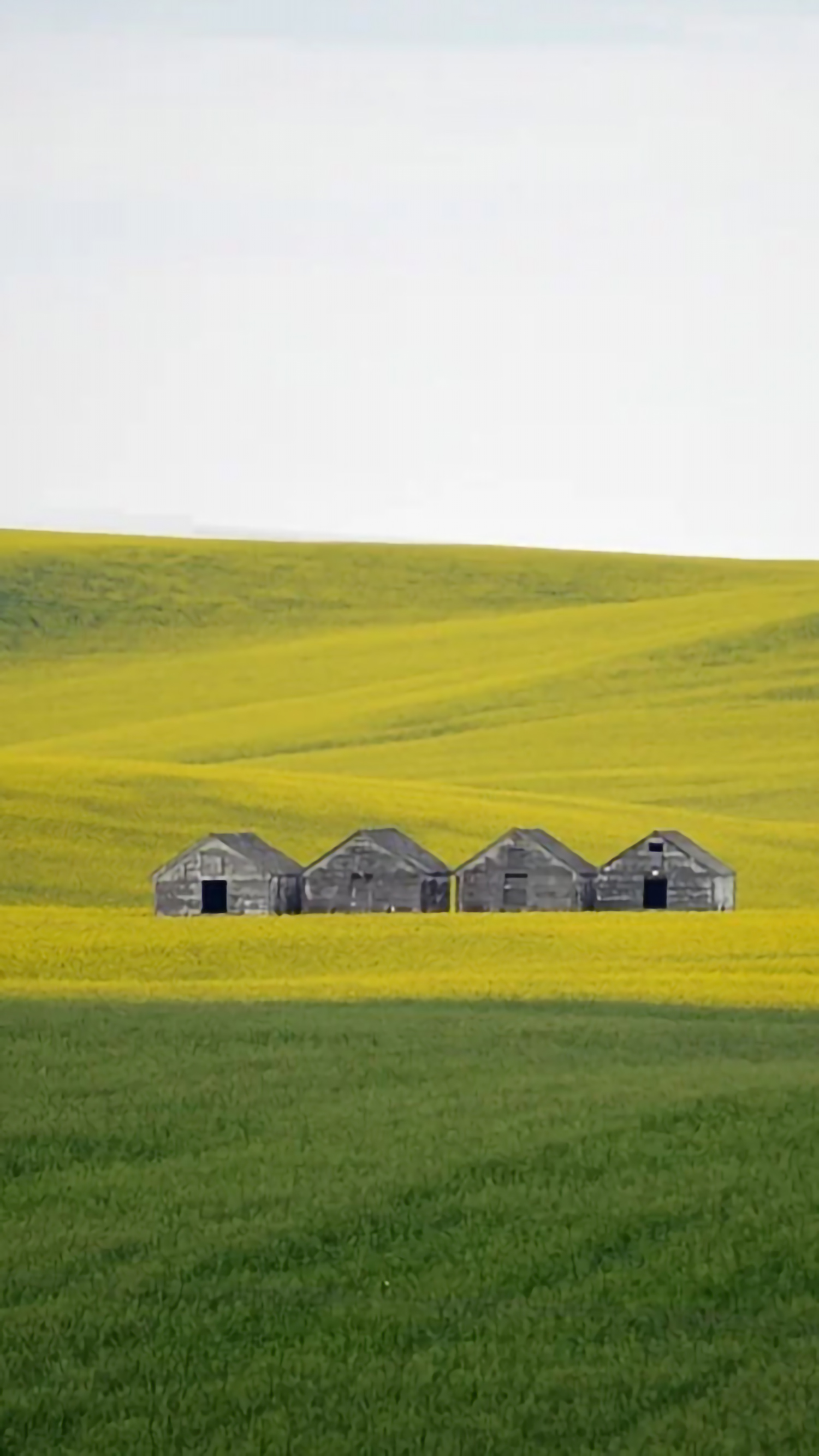 好看的手机桌面壁纸和锁屏壁纸,总有一张壁纸适合你手机屏保精选