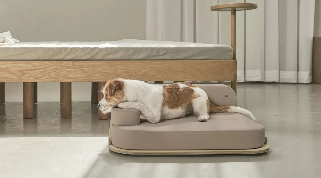 2022年iF设计奖：宠物用品类