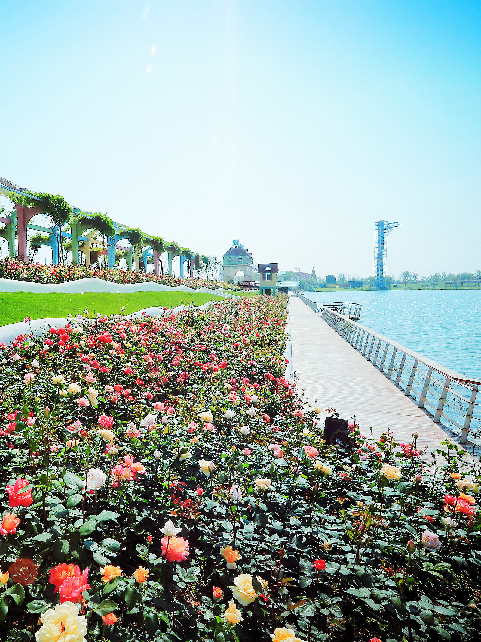 合肥祥源花世界旅游攻略,合肥祥源花世界游玩攻略图片